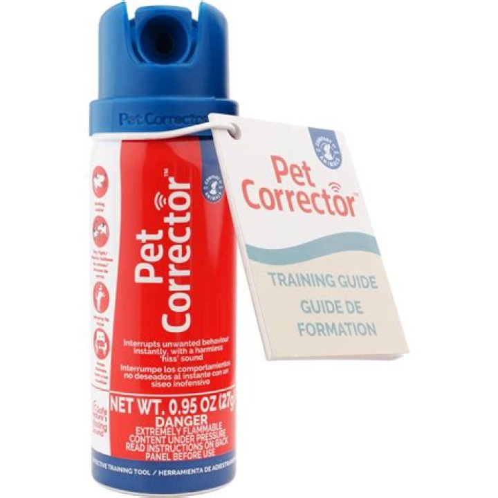 10 Best Dog Barking Deterrents in 2024 - Reviews & Top Picks