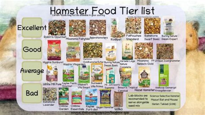 10 Best Hamster Foods in 2024 - Reviews & Top Picks