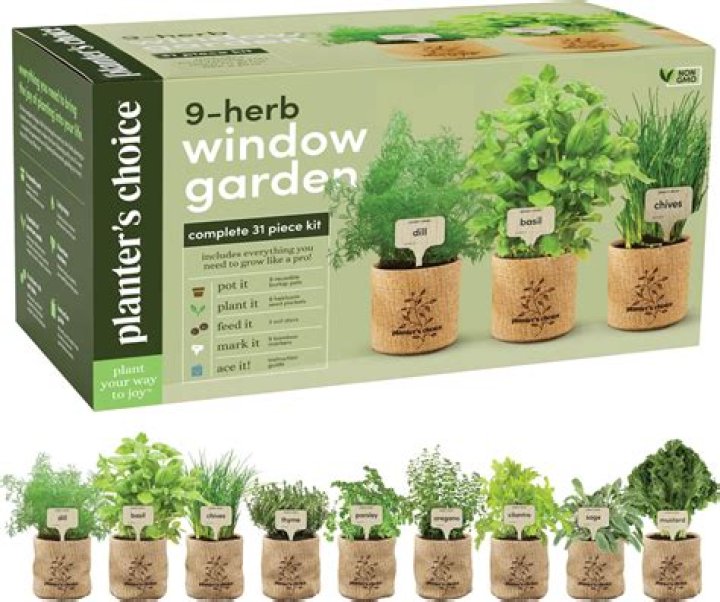 10 Best Herb Garden Planters and Kits of 2024