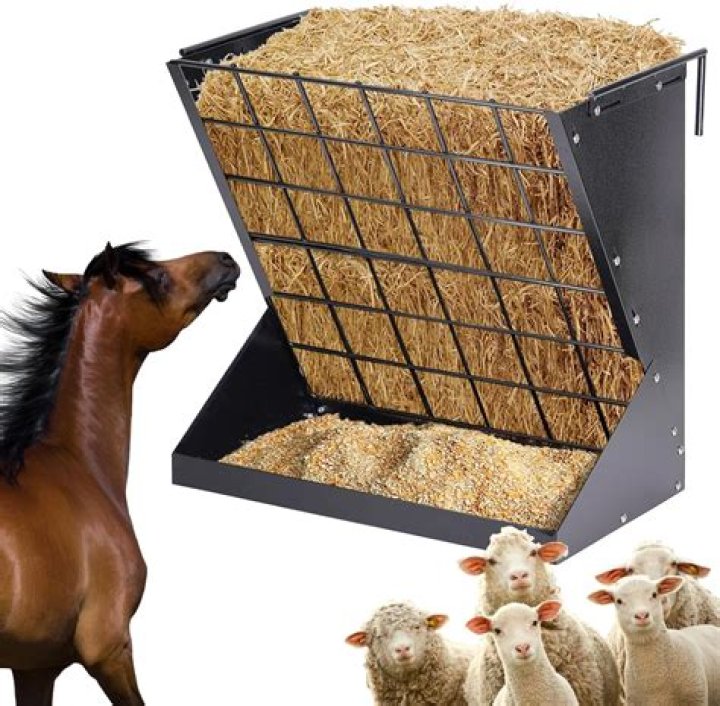 10 DIY Horse Hay Feeders You Can Build Today (With Pictures)