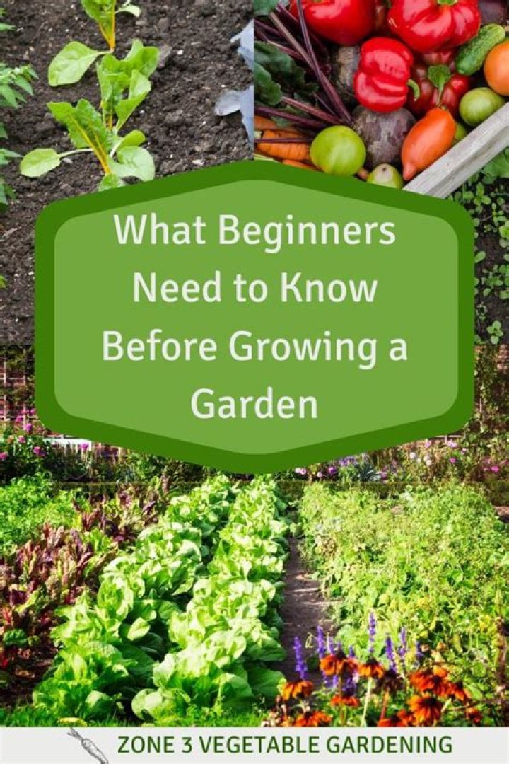 11 Organic Gardening Tips for Beginners