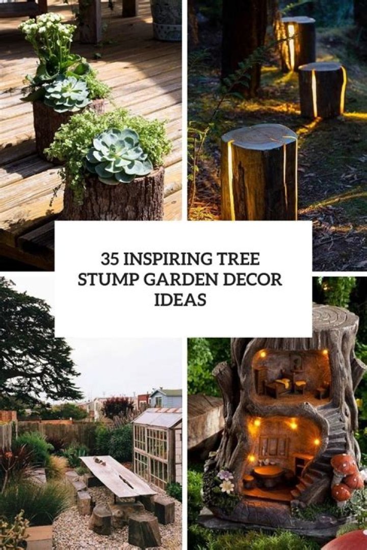 11 Ways to Decorate Your Home with a Tree Stump