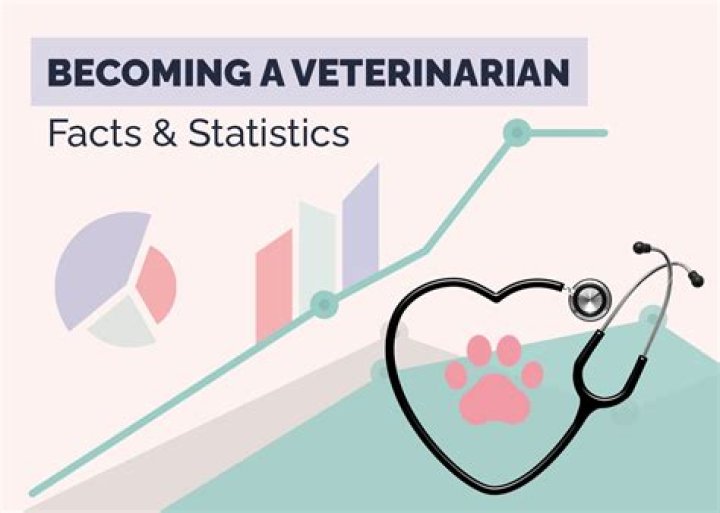 15 Interesting Veterinarian Statistics & Facts To Know in 2024