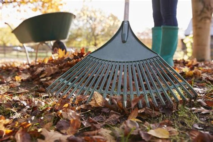 15 Super-Useful Tools for Dealing with Leaves — The Family Handyman