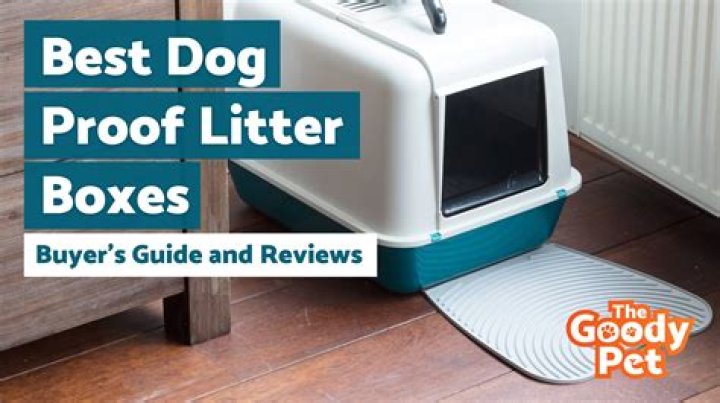 5 Best Dog-Proof Litter Boxes in 2024 – Reviews & Top Picks