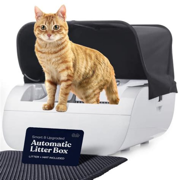 5 Best Self-Cleaning Litter Boxes for Multiple Cats in 2024 - Reviews & Top Picks