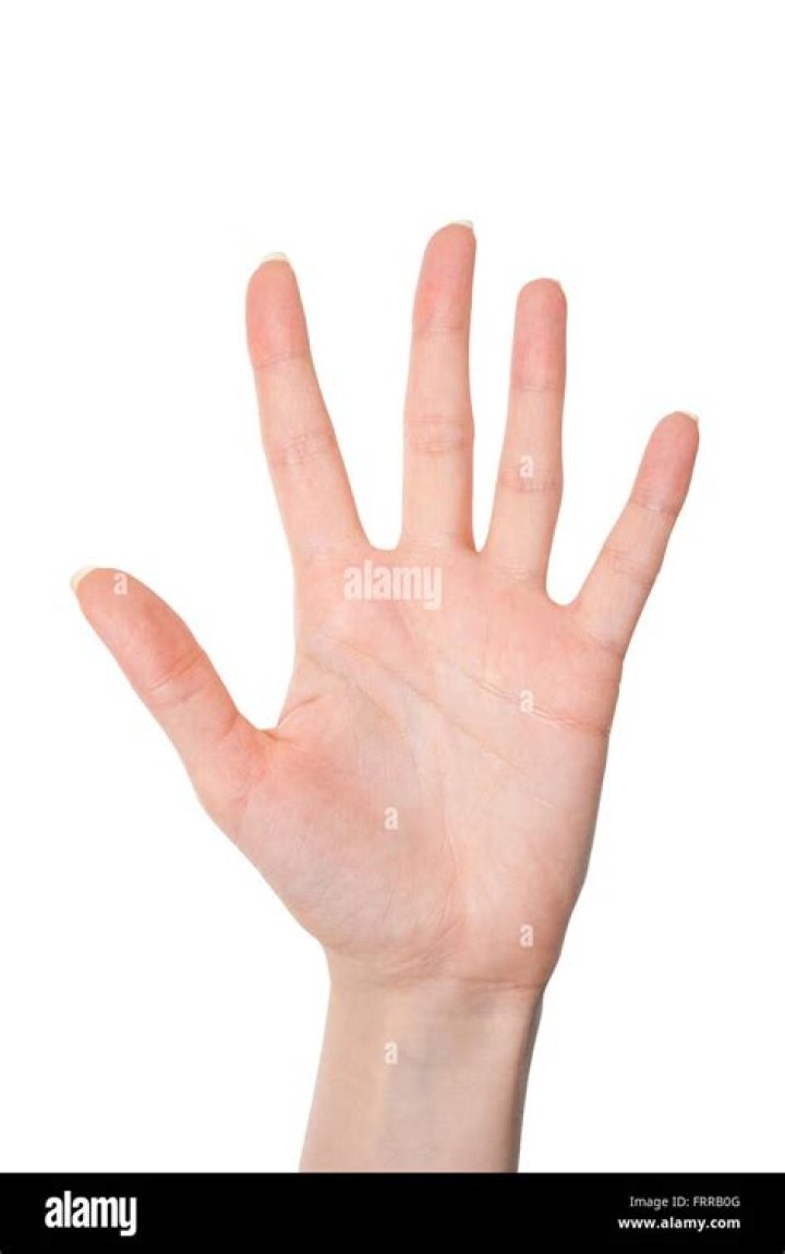 احسن 5 أفكار ديكورات لاستغلال المطابخ صغيرة المساحة