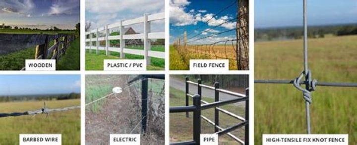 6 Types of Horse Fencing: Notable Differences & Similarities (Pros & Cons)