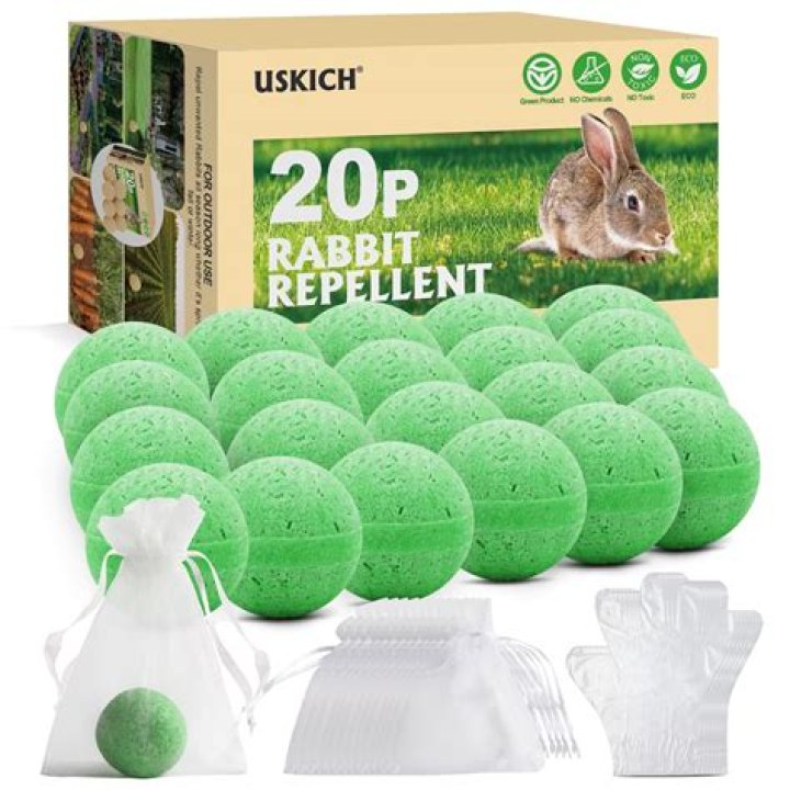 7 Best Rabbit Repellents of 2024: Natural, Pet-Safe and More