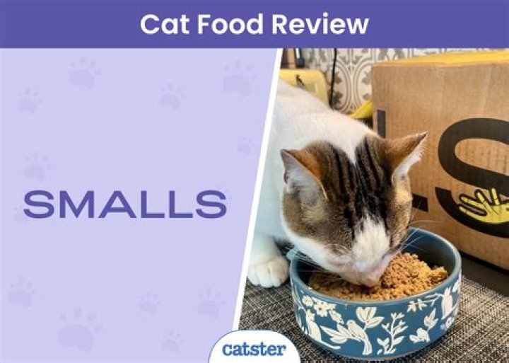 8 Best Limited Ingredient Cat Foods in 2024 - Reviews & Top Picks