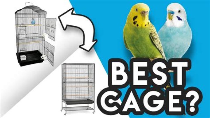 9 Best Parakeet Cages in 2024 - Reviews & Top Picks
