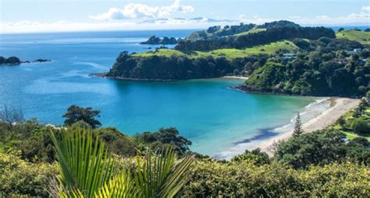 Amanda Palmer: Insider's Guide to Waiheke Island, New Zealand