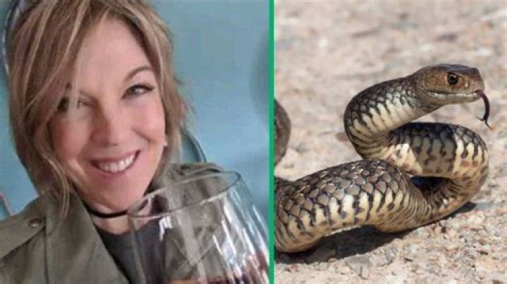 American Family Escapes Snake in the Water in TikTok Video, Netizens Share Experience