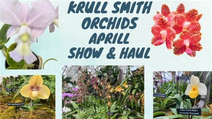 April Krull’s obituary: Death news, cause of death