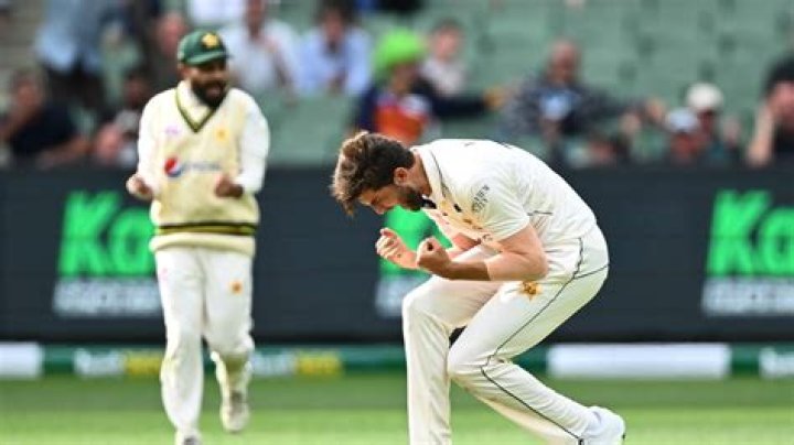 Australia vs Pakistan: Tourists fight back on rain-interrupted start to Boxing Day test
