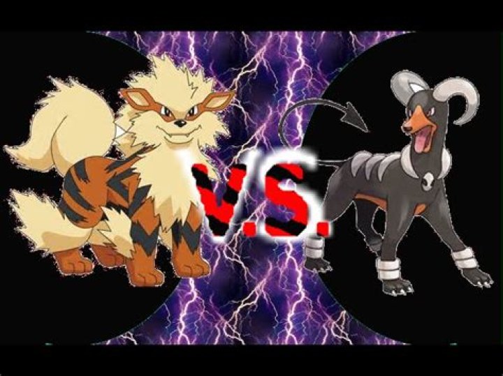 Battle of the Dogs: Murando vs Mightyena vs Arcanine vs Houndoom vs Granbull