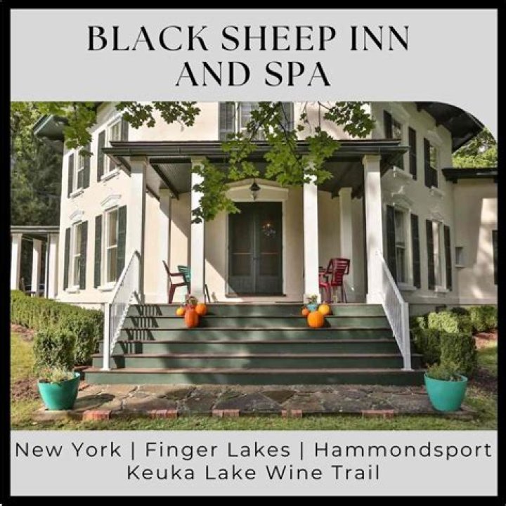 Black Sheep Inn, Ecolodge Programs