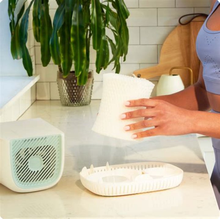 Bring the Scent of Holiday Travel Home with the World's Cleanest Humidifier: Canopy