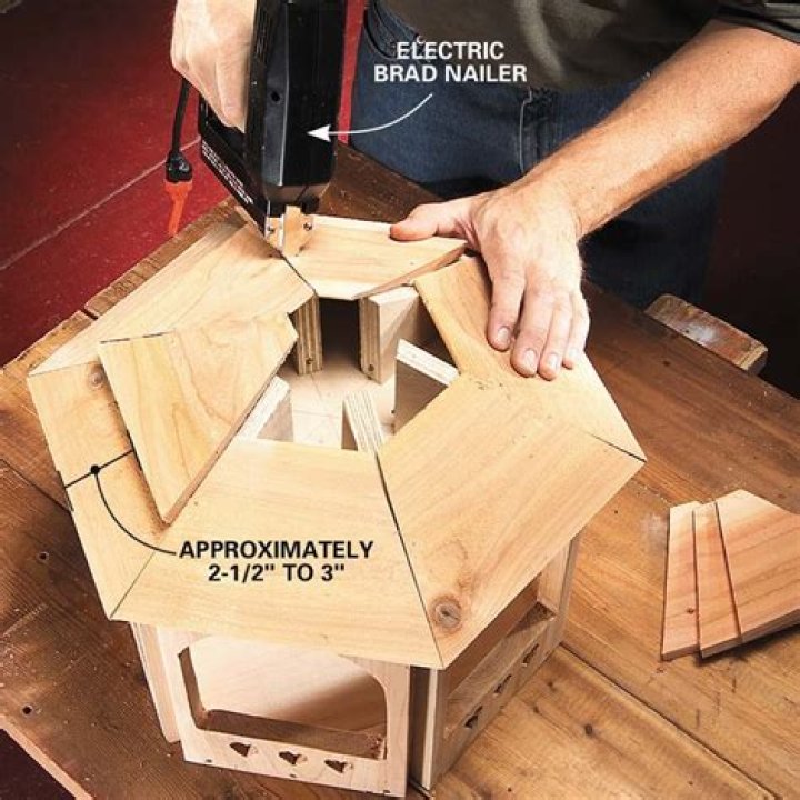 Build a Gazebo for the Birds (DIY)