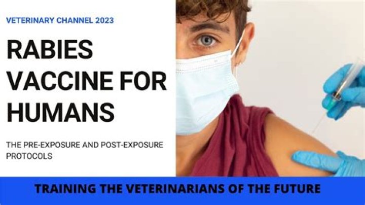 Can I Take a Bath After Anti Rabies Vaccine