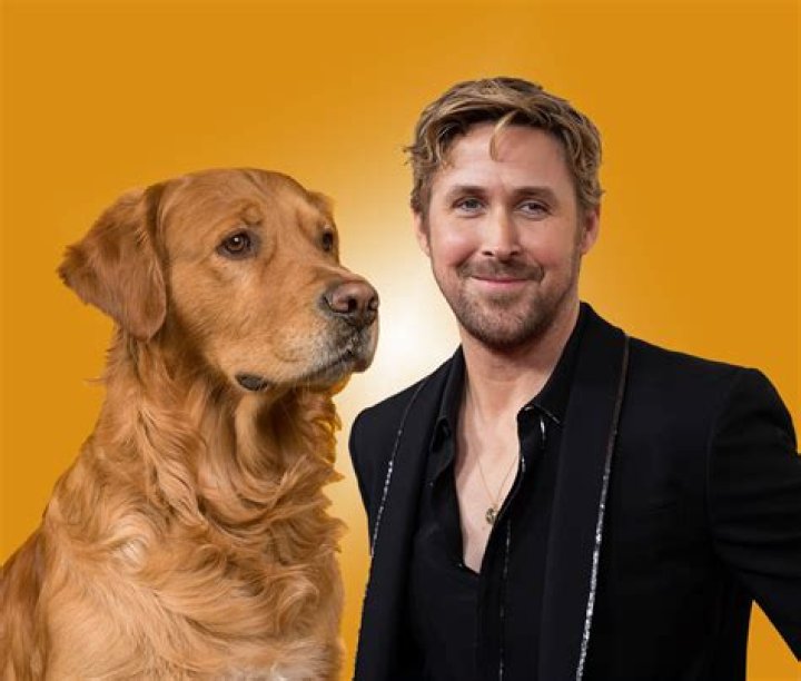 Chase Stokes Reacts to Being Dubbed Kelsea Ballerini's Golden Retriever Boyfriend (Exclusive)