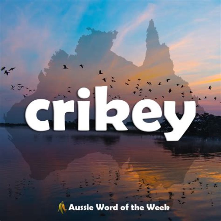 Crikey: Are reports Aussie slang is dying all bulldust?