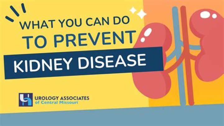 Daily wine could prevent kidney disease - study