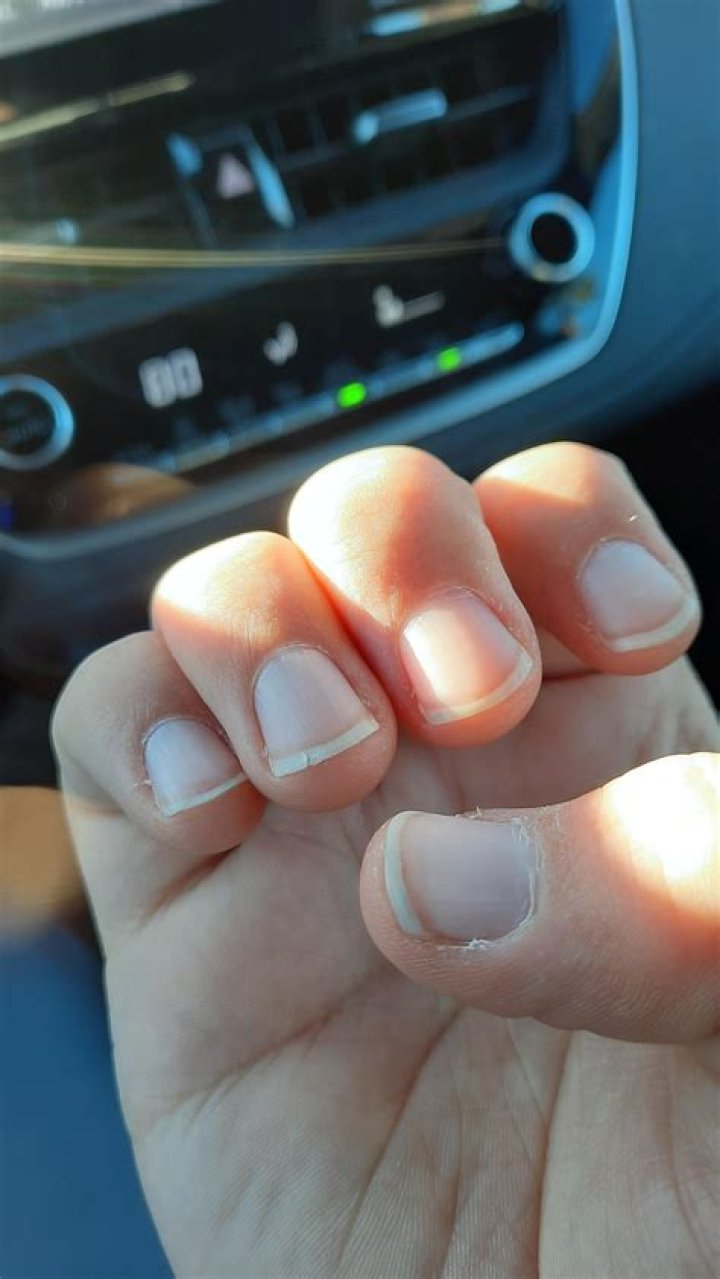 Definitions of divit - OneLook