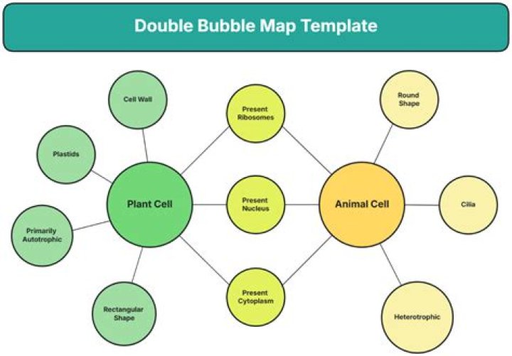 Definitions of double bubble - OneLook