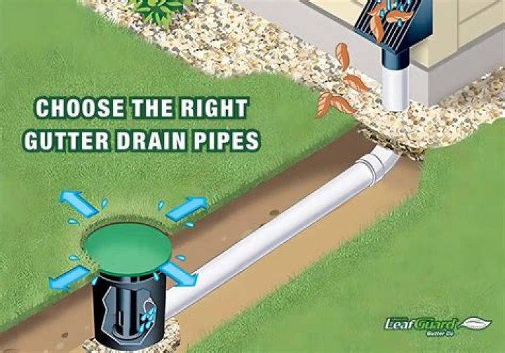 Definitions of Dutter - OneLook