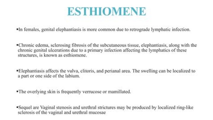 Definitions of esthiomene - OneLook