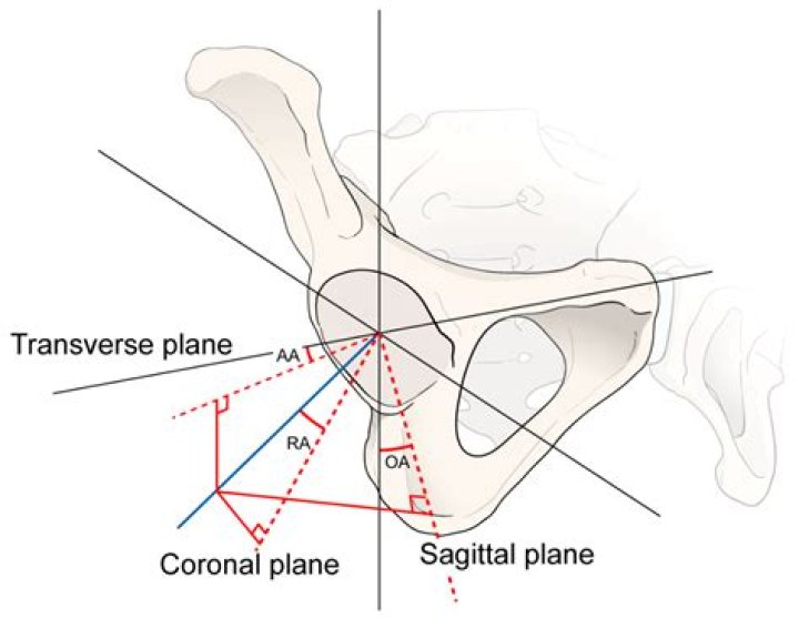 Definitions of operative - OneLook