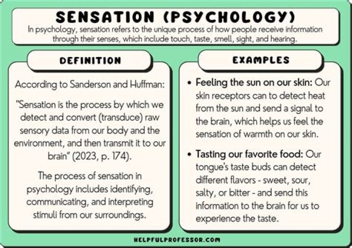 Definitions of sensationalise - OneLook