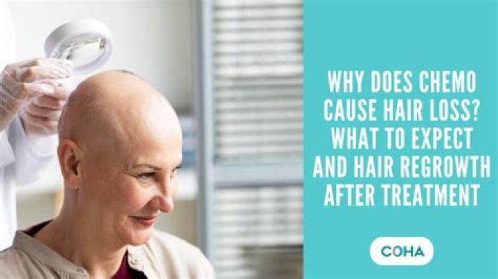 Does L-Theanine Cause Hair Loss? Exploring the Facts and Myths