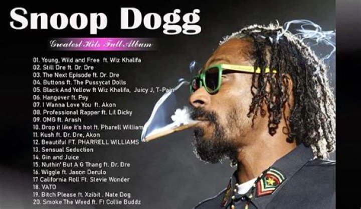 Does Snoop Dog Have A Criminal Record? A Deep Dive Into His Legal Troubles