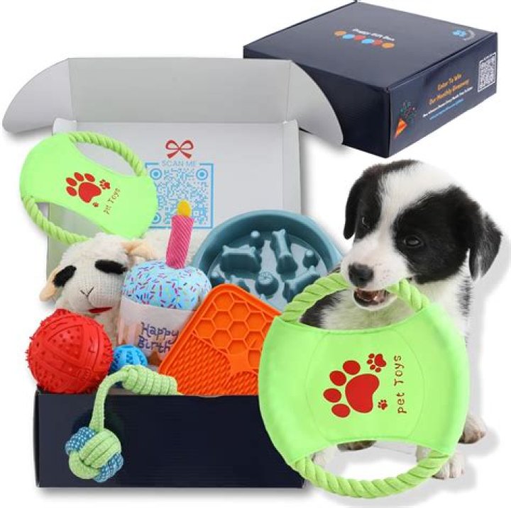 Dolly Parton's Collection of Dog Toys, Apparel and Accessories Is on Sale for Amazon Pet Day