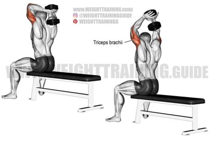 Dumbbell Overhead Triceps Extension