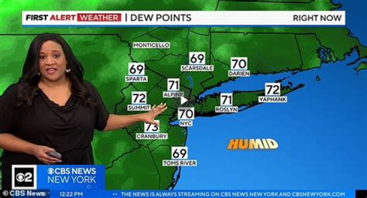 Elise Finch, CBS New York Meteorologist, Dead at 51