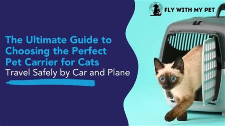 Essential Cat Carrier: The Ultimate Guide To Transporting Your Feline Friend