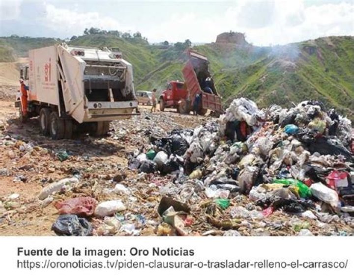 Esta mujer ha convertido las foto pene que ha recibido a lo largo de su vida en obras de arte