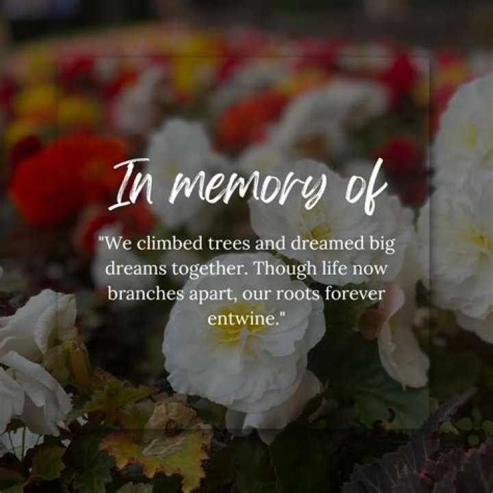 Former BHP Member Justin Peters’ Obituary: Remembrance of a Life Lost