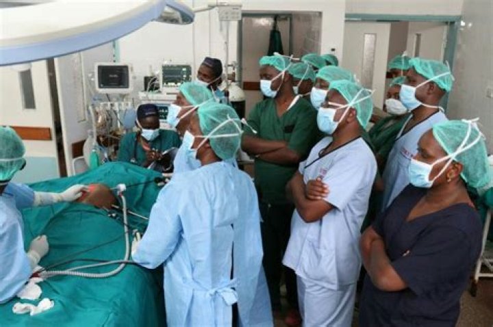 Ground-breaking surgery to help save chimp's ear