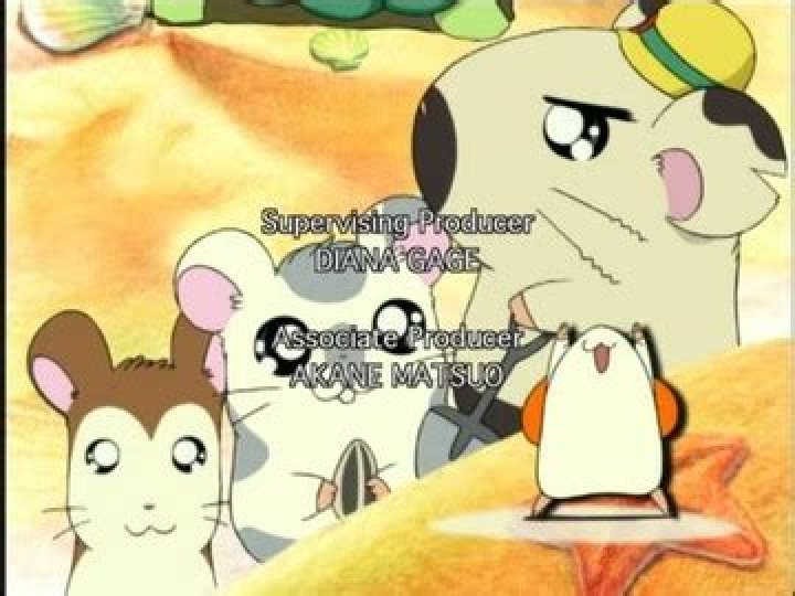 Hamtaro Episodes: A Complete Guide To The Adorable Hamster Adventures