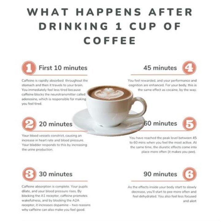 How Long Does Coffee Creamer Last, Food Safety Tip