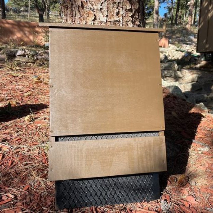 How To Build a Bat Box To Help Keep Mosquitoes Away