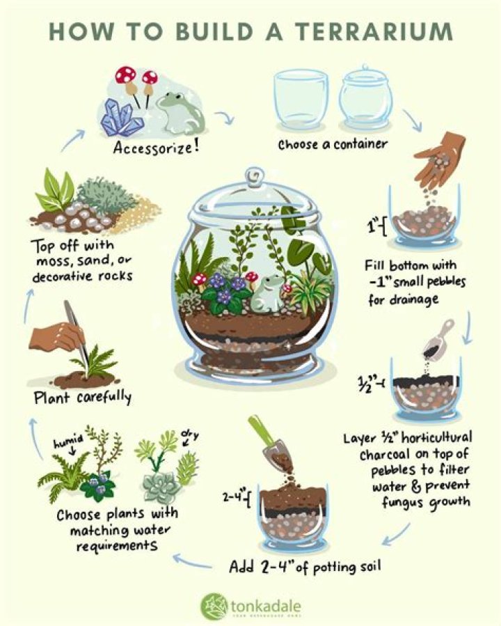 How to Build a Terrarium