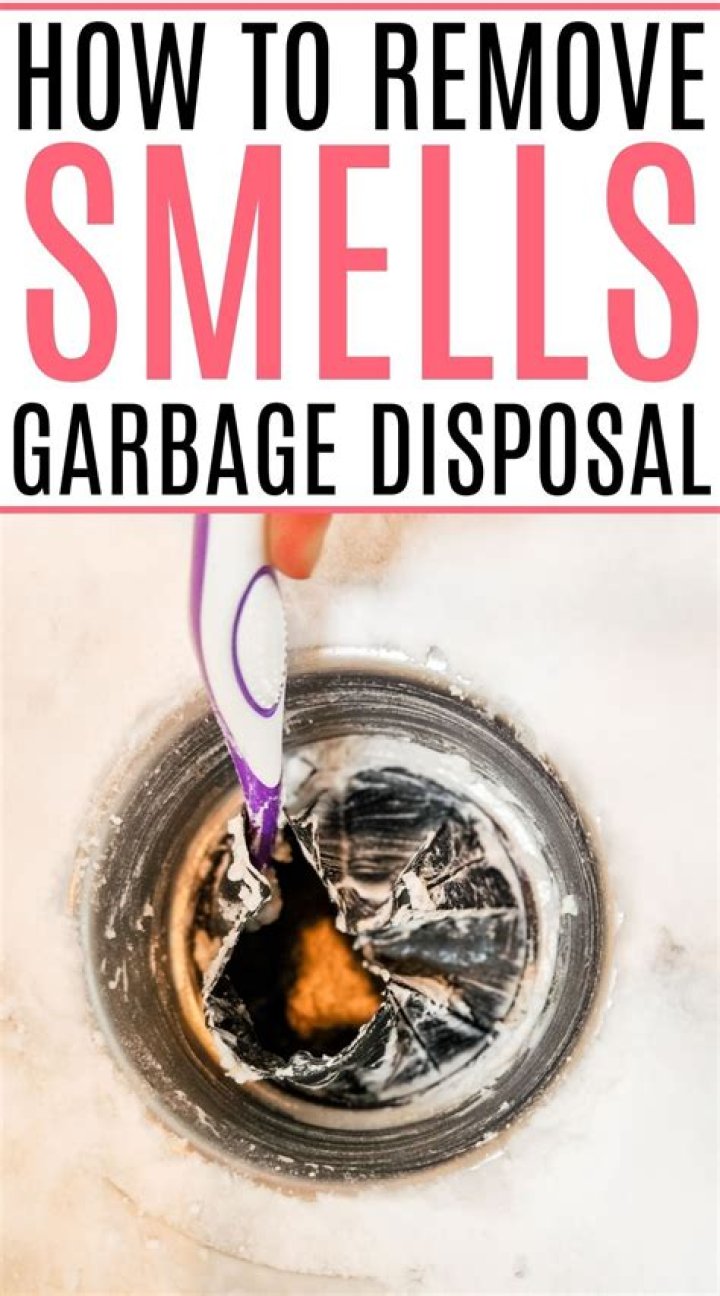 How to Clean Garbage Disposal (DIY)