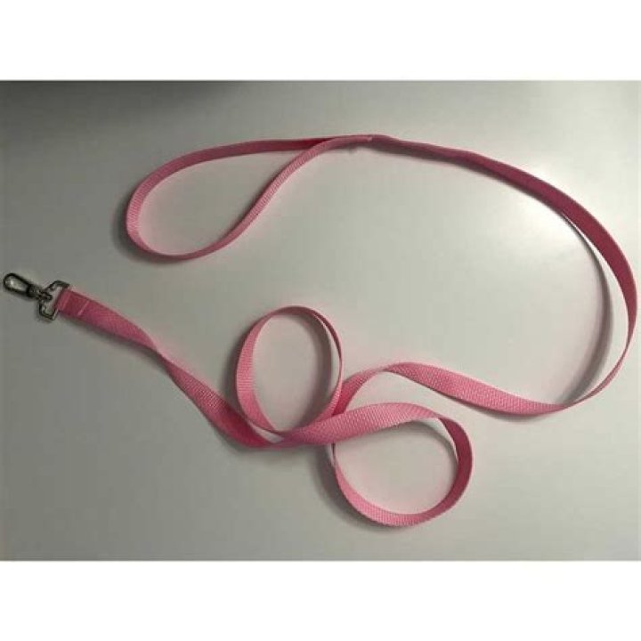 How to Make a Cat Harness (DIY)