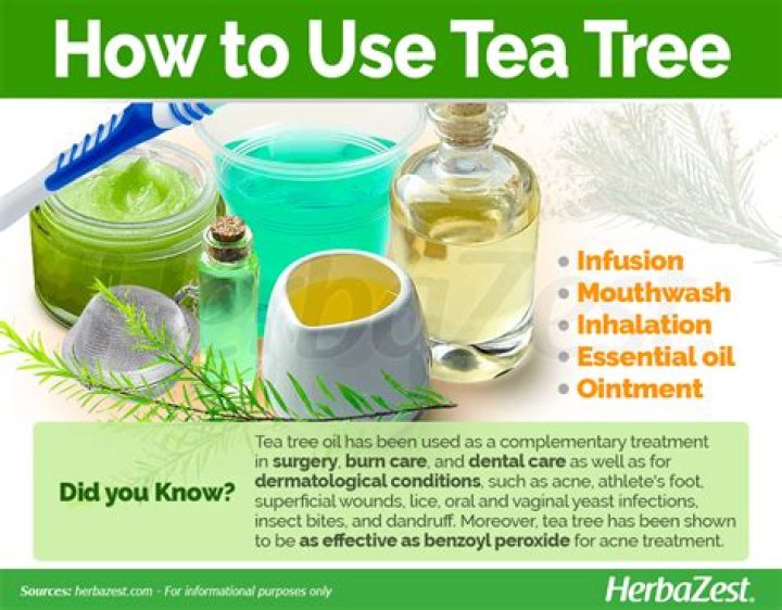 How to use tea tree oil: Everything you need to know