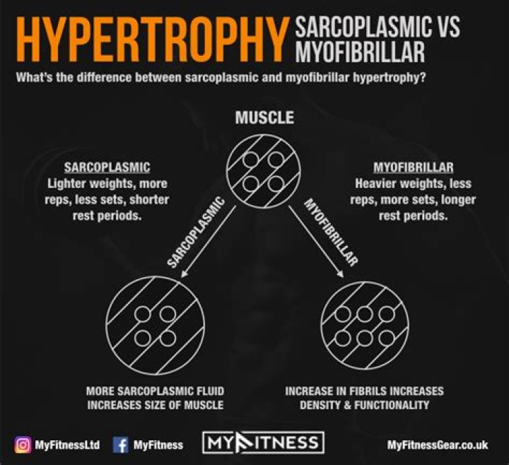 How You Can Use Hypertrophy to Grow Your Muscles